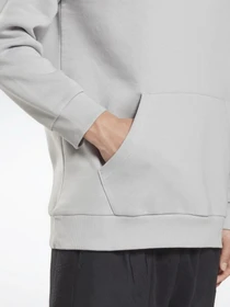 Худи и свитшоты Reebok Identity Fleece модель HG4449 Фото