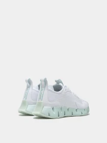 Кросівки Reebok Zig Dynamica модель 0B963 Фото