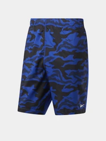 Шорты Reebok Ready Graphic модель FP9086 Фото
