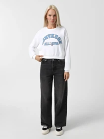 Худі та світшоти CONVERSE RETRO CHUCK HERITAGE CREW модель 10026777-102 Фото