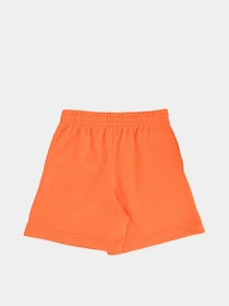 Шорти CONVERSE TRAIL MIX SHORT модель 9CG723-R7L Фото