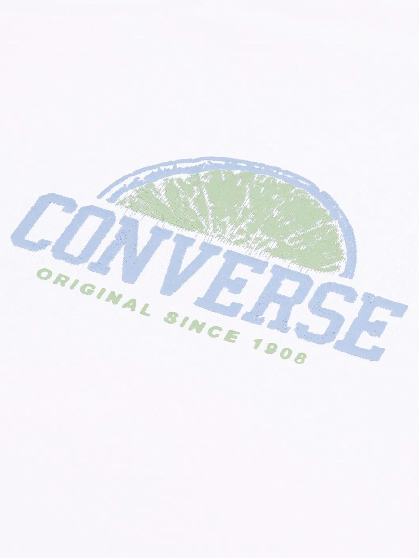 Футболки і поло CONVERSE FRONT BACK FRUIT BOXY TEE модель 4CG915-001 Фото