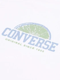 Футболки і поло CONVERSE FRONT BACK FRUIT BOXY TEE модель 4CG915-001 Фото