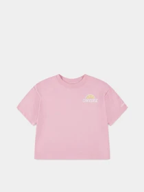 Футболки и поло CONVERSE FRONT BACK FRUIT BOXY TEE модель 4CG915-AJL Фото