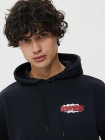 Худи и свитшоты CONVERSE Shoe Hero модель 10024614-001 Фото