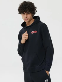 Худі та світшоти CONVERSE Shoe Hero модель 10024614-001 Фото