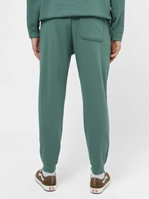 Штани CONVERSE STANDARD FIT WEARERS LEFT STAR модель 10023873-304 Фото