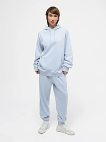 Худі та світшоти CONVERSE STANDARD FIT LEFT CHEST STAR C модель 10023874-050 Фото