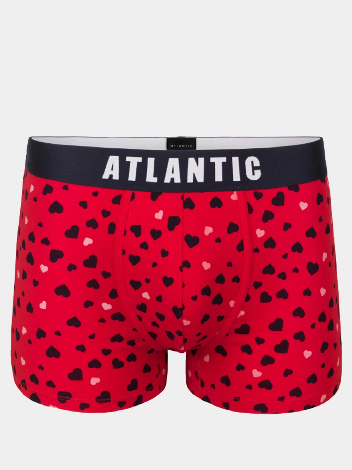 Нижнее белье Atlantic модель MH-1169 CZE Фото