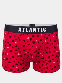 Нижнее белье Atlantic модель MH-1169 CZE Фото