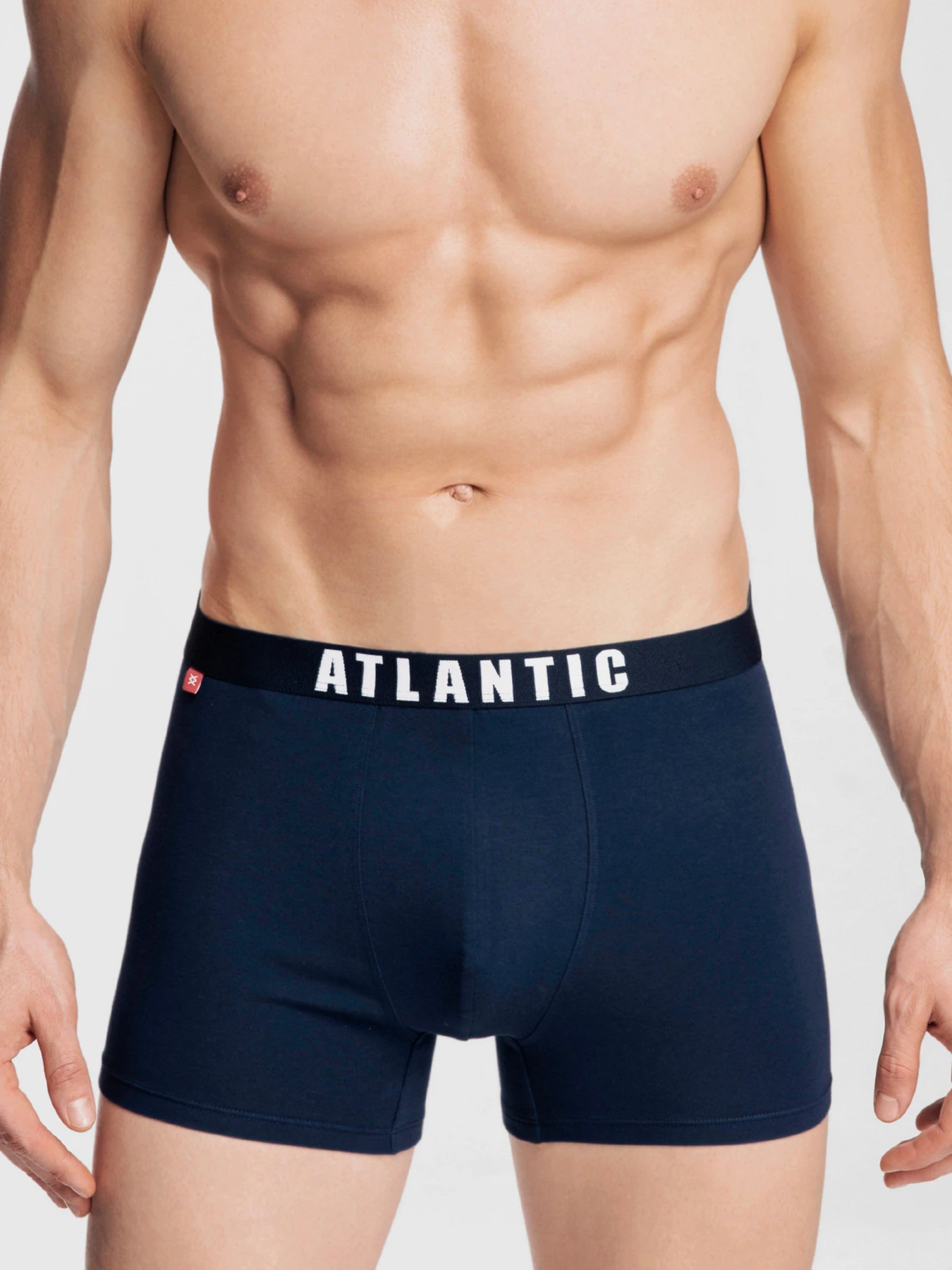 Нижня білизна Atlantic модель 3MH-011 GRA Нижня білизна Atlantic модель 3MH-011 GRA Фото