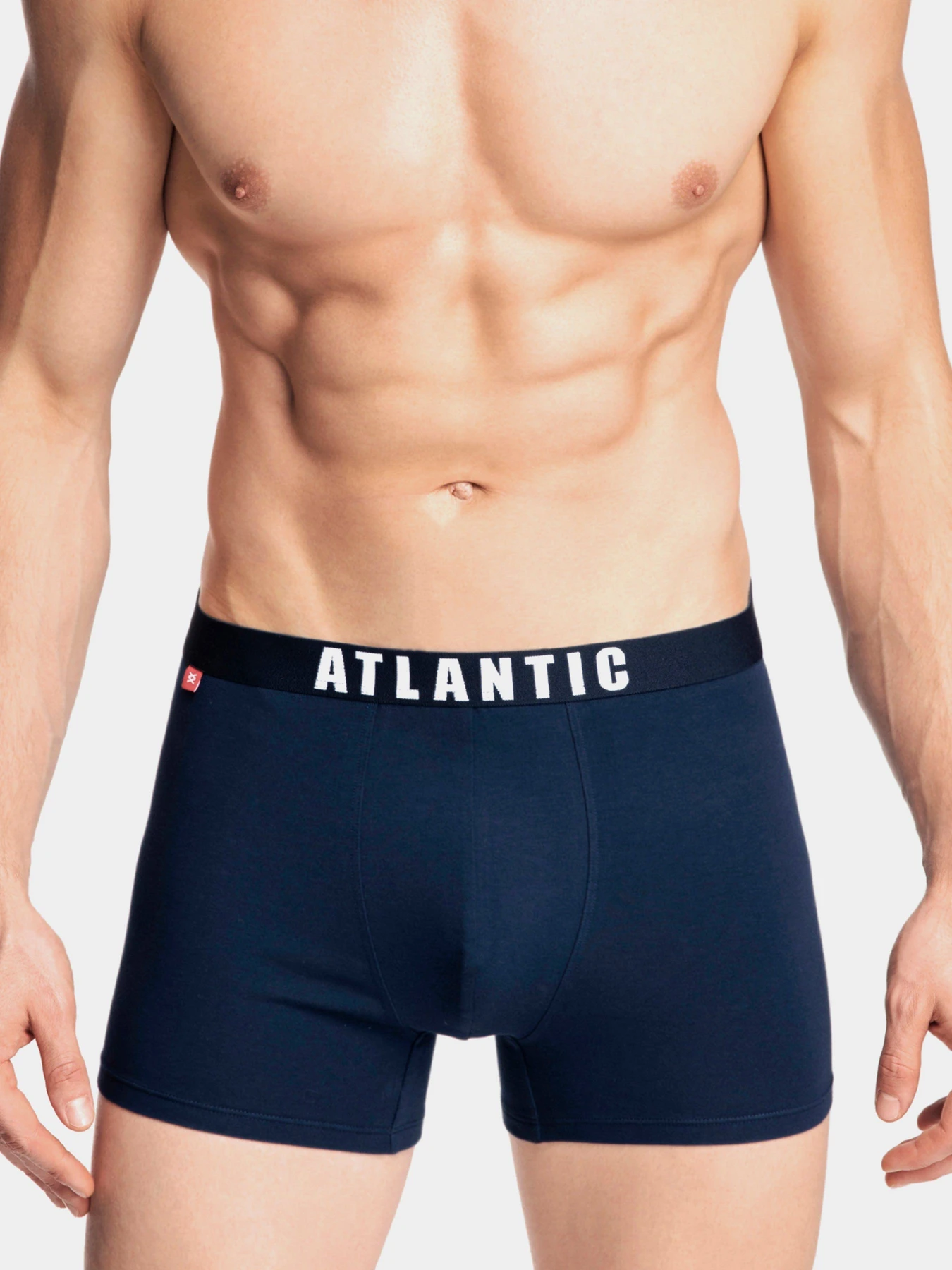 Нижнее белье Atlantic модель 3MH-011 GRA/NIM/NIE Нижнее белье Atlantic модель 3MH-011 GRA/NIM/NIE Фото
