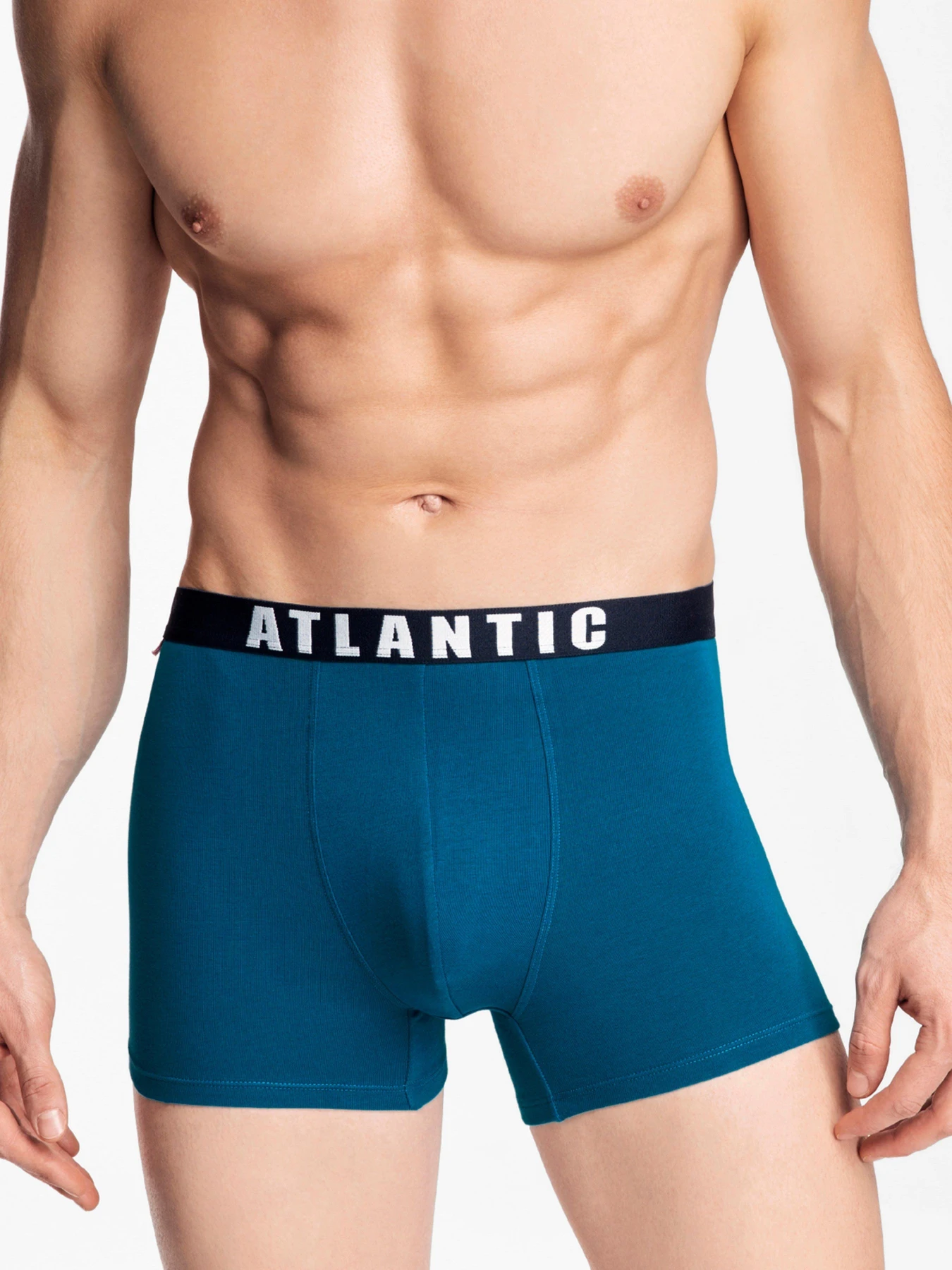 Нижня білизна Atlantic модель 3MH-011 GRA/ZIE/SZM Нижня білизна Atlantic модель 3MH-011 GRA/ZIE/SZM Фото