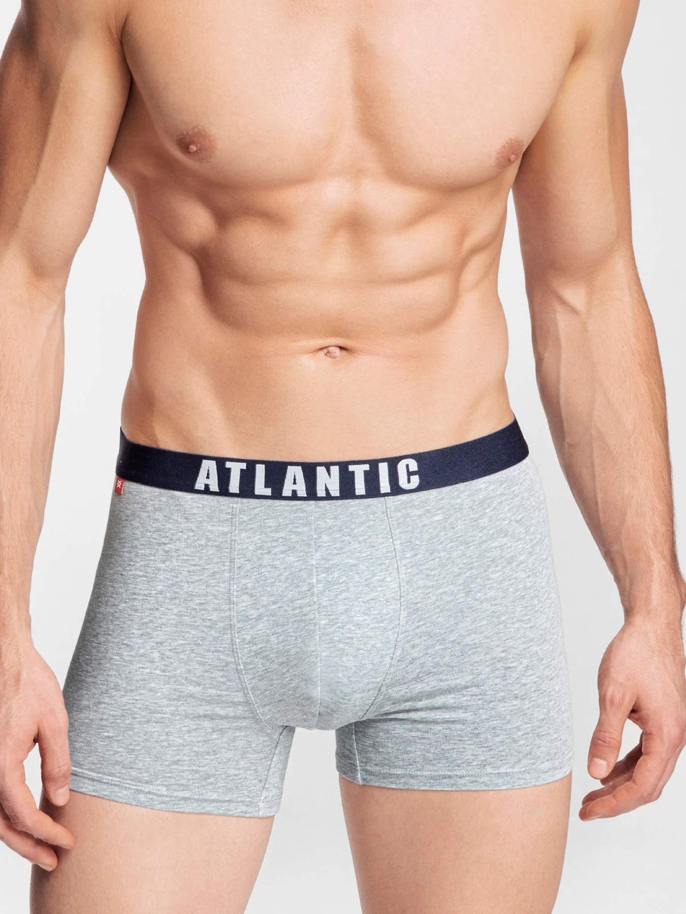 Нижня білизна Atlantic модель 3MH-011 GRA/ZIE/SZM Нижня білизна Atlantic модель 3MH-011 GRA/ZIE/SZM Фото