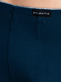 Нижнее белье Atlantic модель MH-1182 NIE Фото