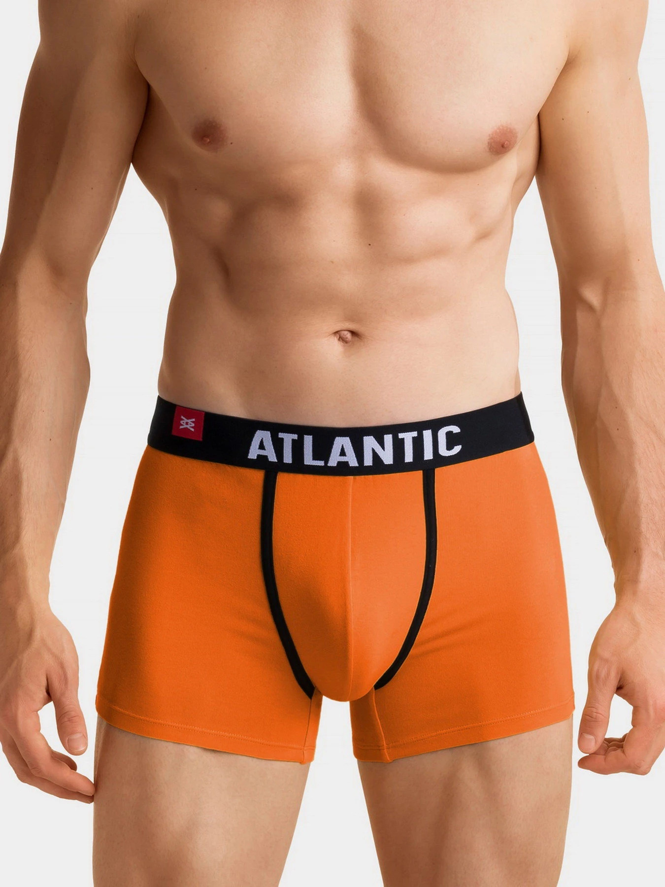 Нижнее белье Atlantic модель 3SMH-002 ZOL/FIO/TUR Нижнее белье Atlantic модель 3SMH-002 ZOL/FIO/TUR Фото