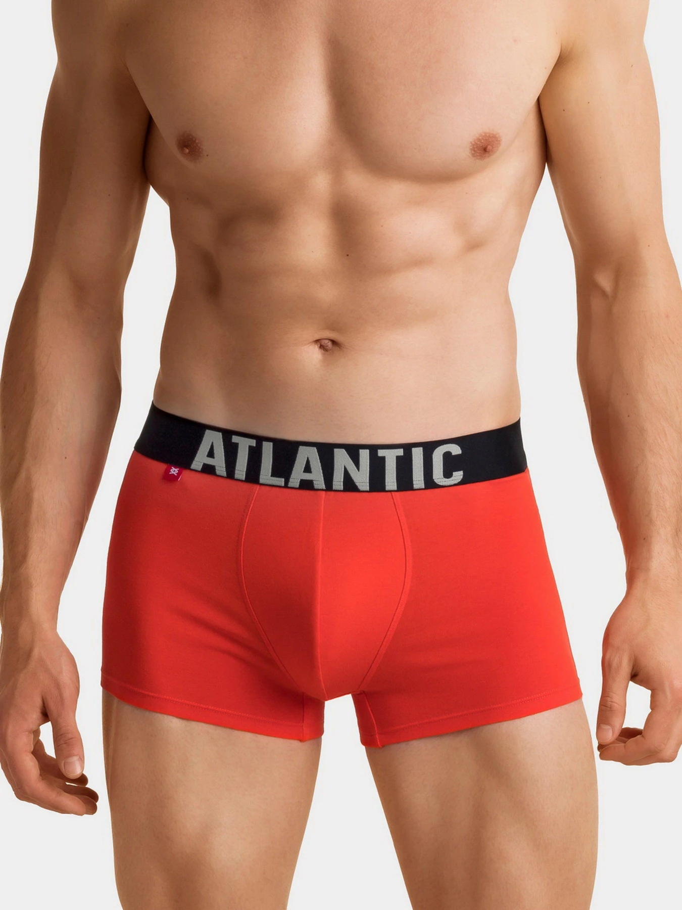 Нижнее белье Atlantic модель 3SMH-003 KHA/SZM/POM Фото