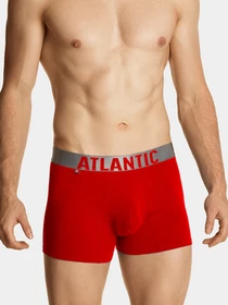 Нижня білизна Atlantic модель 3SMH-049 GRA/DENJ/CZE Фото