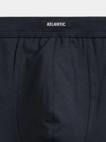 Нижня білизна Atlantic модель 3MH-185 CZA/GRF/SZM Фото