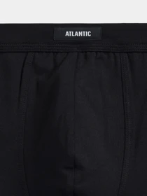 Нижня білизна Atlantic модель 3MH-185 CZA/GRF/SZM Фото