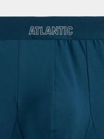 Нижня білизна Atlantic модель MH-1195 DEN Фото