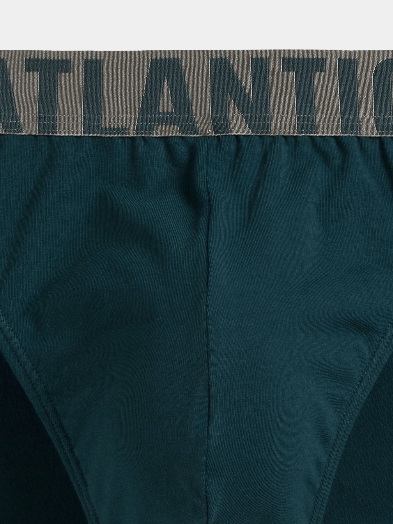Нижня білизна Atlantic модель MP-1574 ZIE Фото