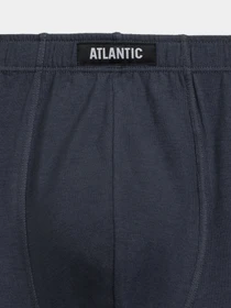 Нижня білизна Atlantic модель 5SMH-002 GRF/SZA/CZA/SZG/KAW Фото