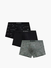 Нижня білизна Atlantic модель 3MH-223 CZA/CZA/KHAJ Фото