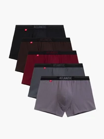 Нижня білизна Atlantic модель 5SMH-004 BRO/GRF/CZA/SZA/CAB Фото