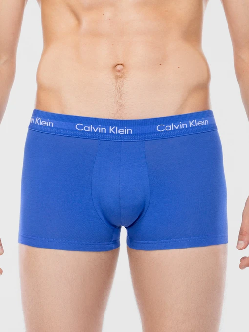 Нижня білизна Calvin Klein Underwear модель U2664G_4KU Фото