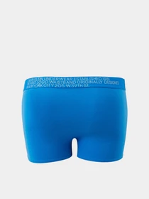 Нижнее белье Calvin Klein Underwear модель NB1703A_C2P Фото