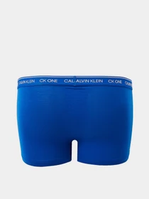 Нижнее белье Calvin Klein Underwear модель NB2327A_C6X Фото