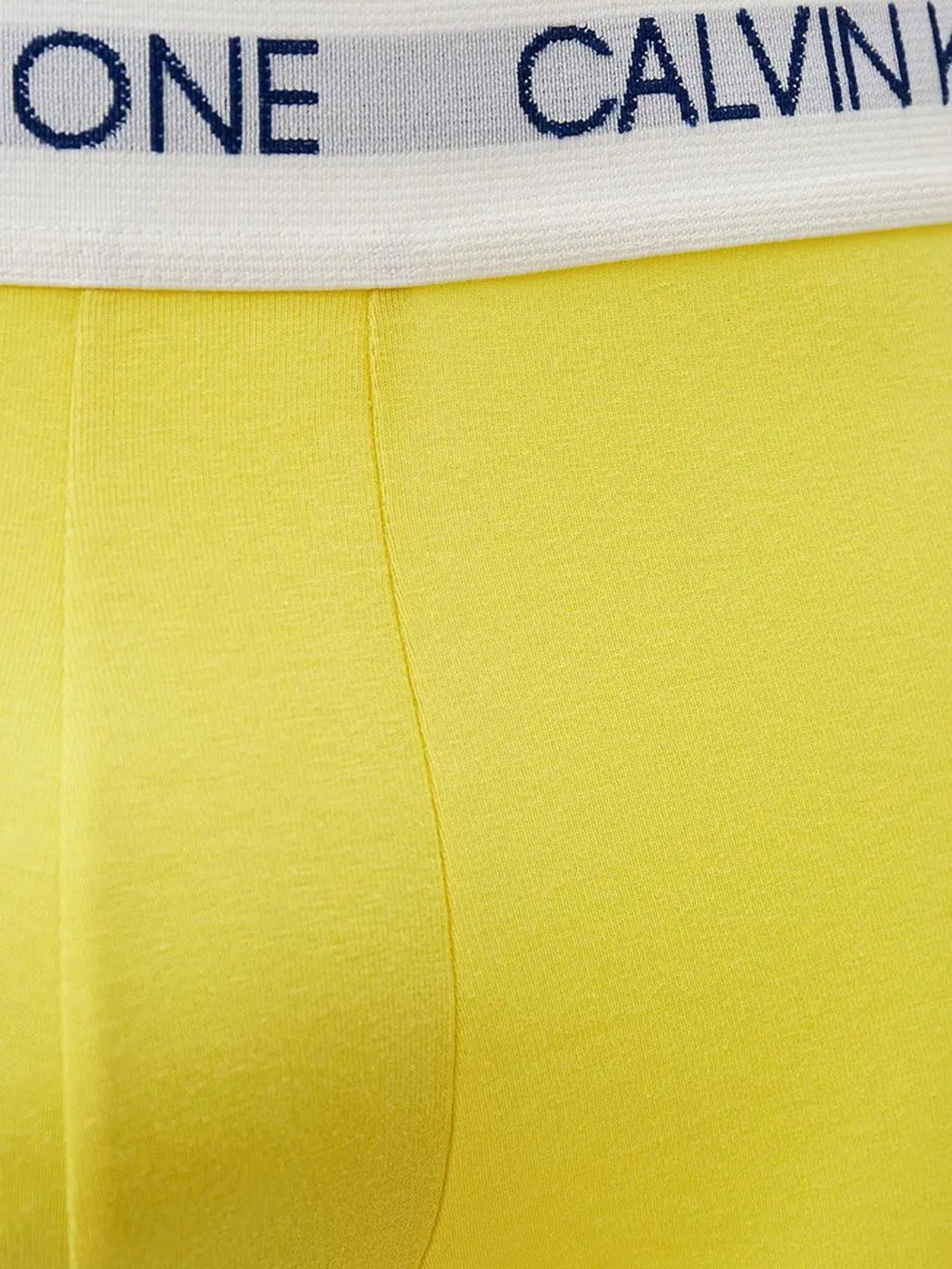 Нижнее белье Calvin Klein Underwear модель NB2518A_ZHK Фото