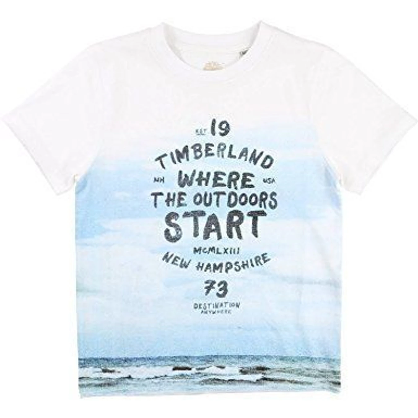 Футболки и поло Timberland Kids модель T25L66/10B Фото