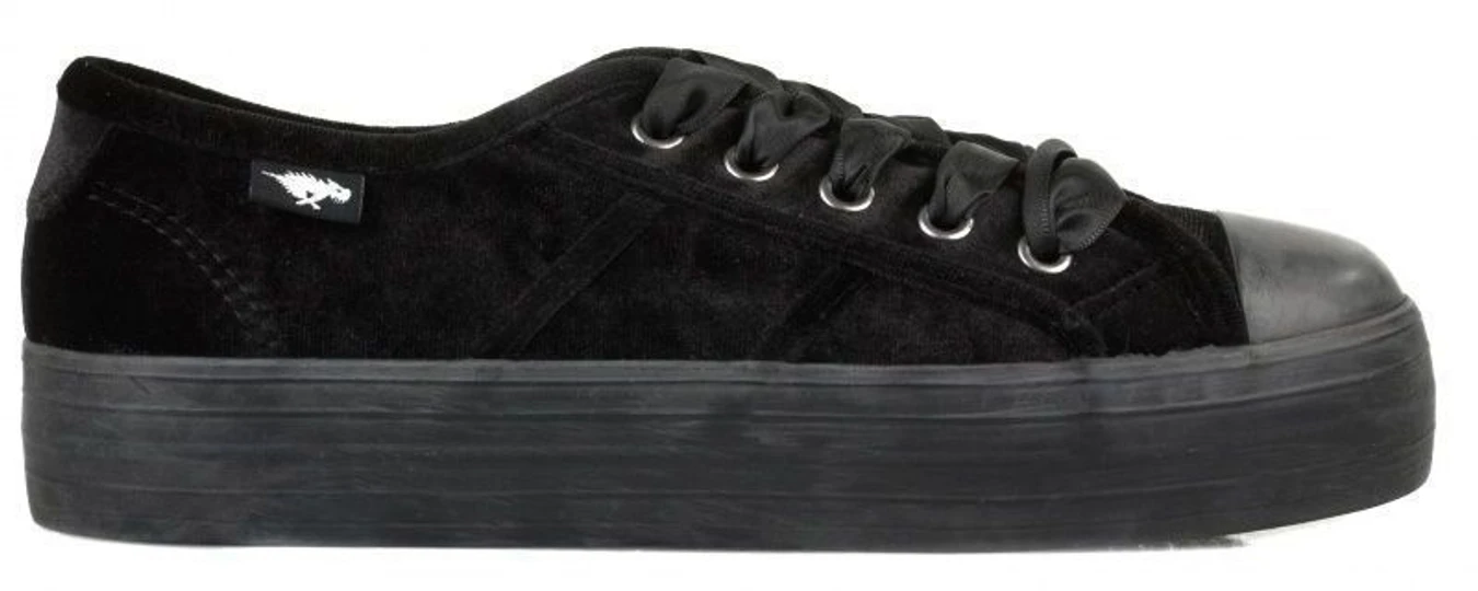 Кеды Rocket Dog модель MAGICCRI CRUSH VELVET BLACK Фото