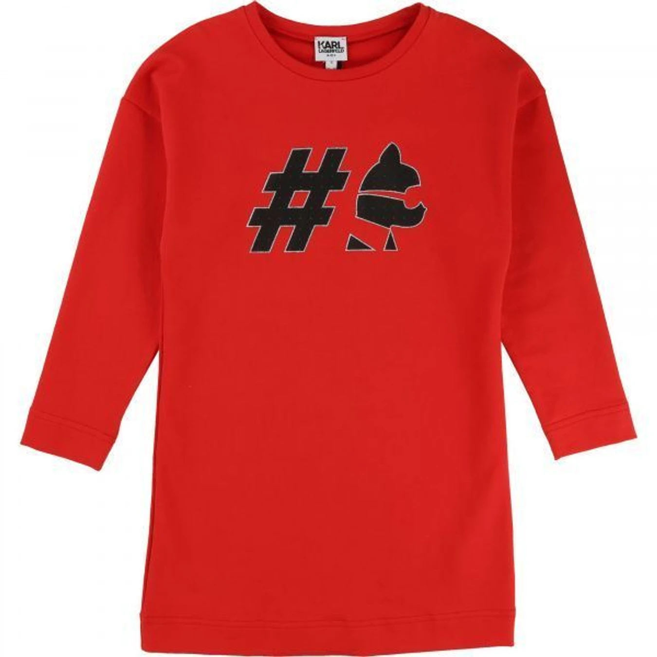 Сукні Karl Lagerfeld Kids модель Z12065/97E Фото