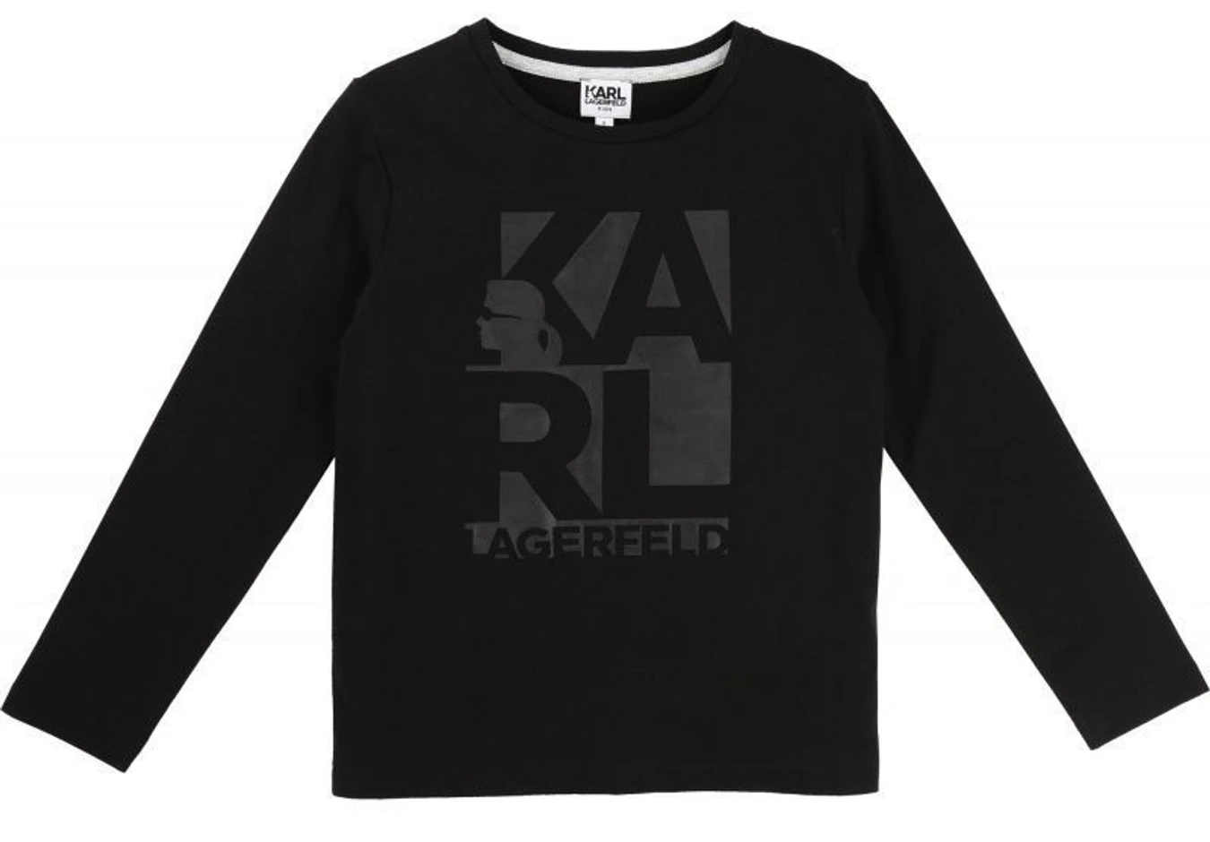 Худі та світшоти Karl Lagerfeld Kids модель Z25096/09B Фото
