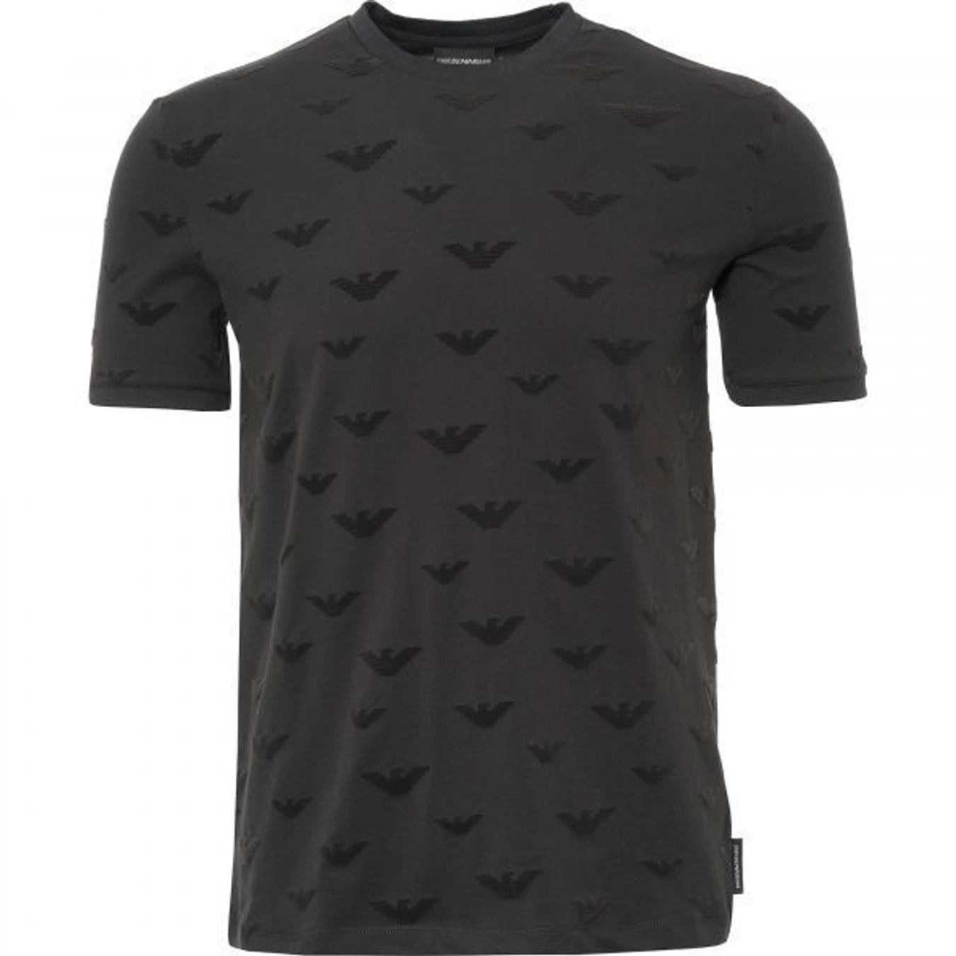 Футболки и поло Emporio Armani модель 6Z1TC5-1JPTZ-0633 Фото
