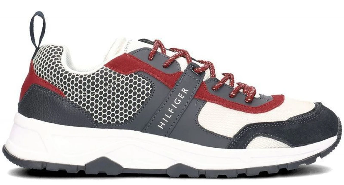 Кросівки Tommy Hilfiger модель FM0FM02009-020 Фото