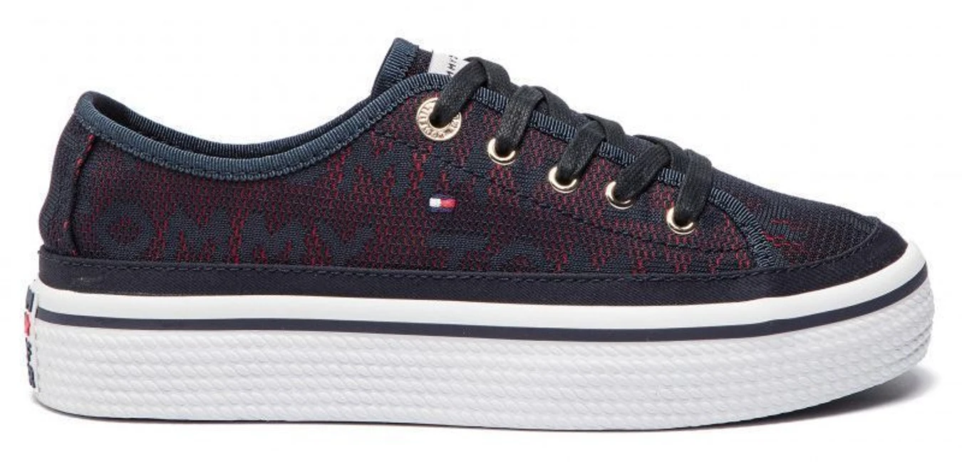 Кеды Tommy Hilfiger модель FW0FW04071-403 Фото