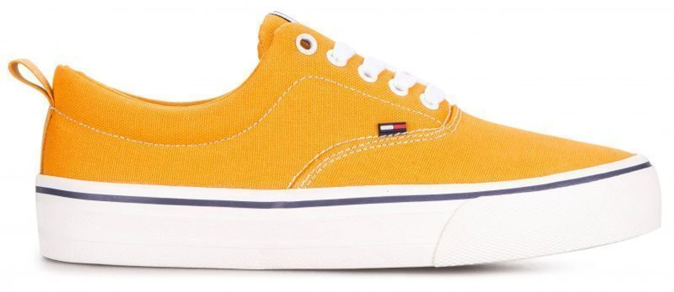 Кеды Tommy Hilfiger модель EM0EM00259-726 Фото