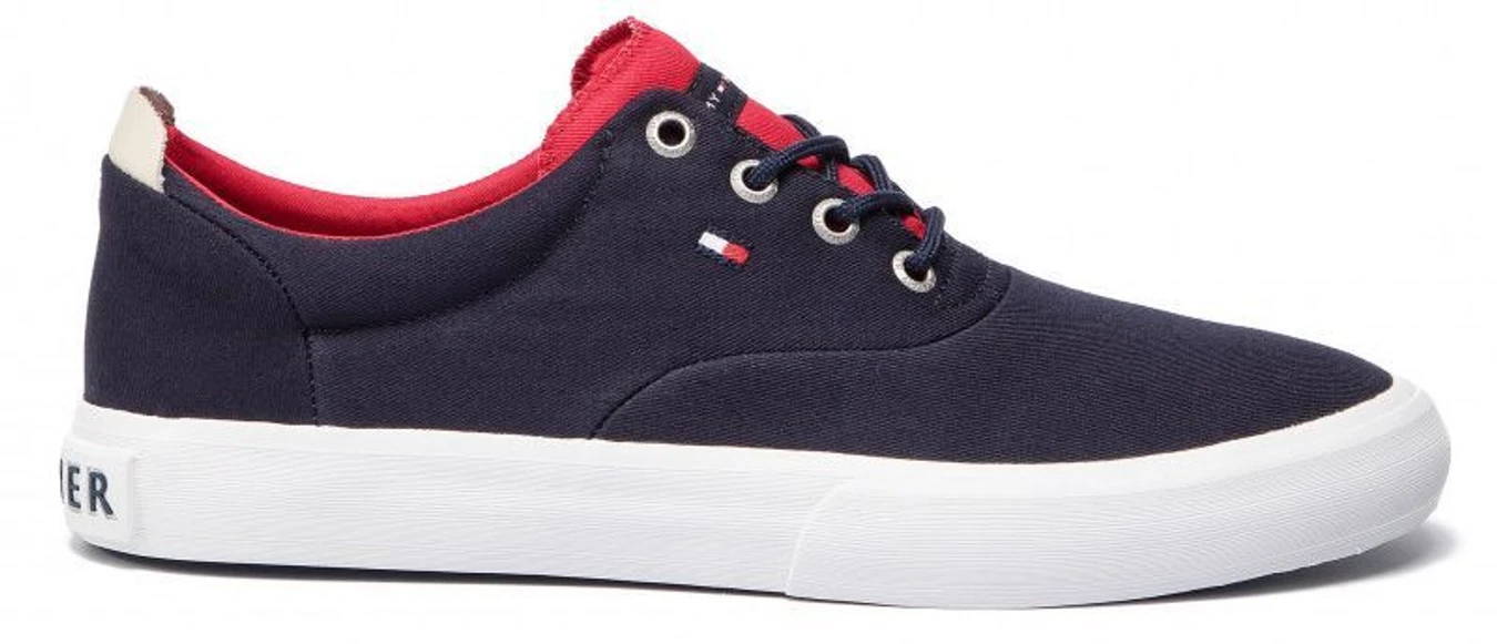 Кеды Tommy Hilfiger модель FM0FM02160-403 Фото