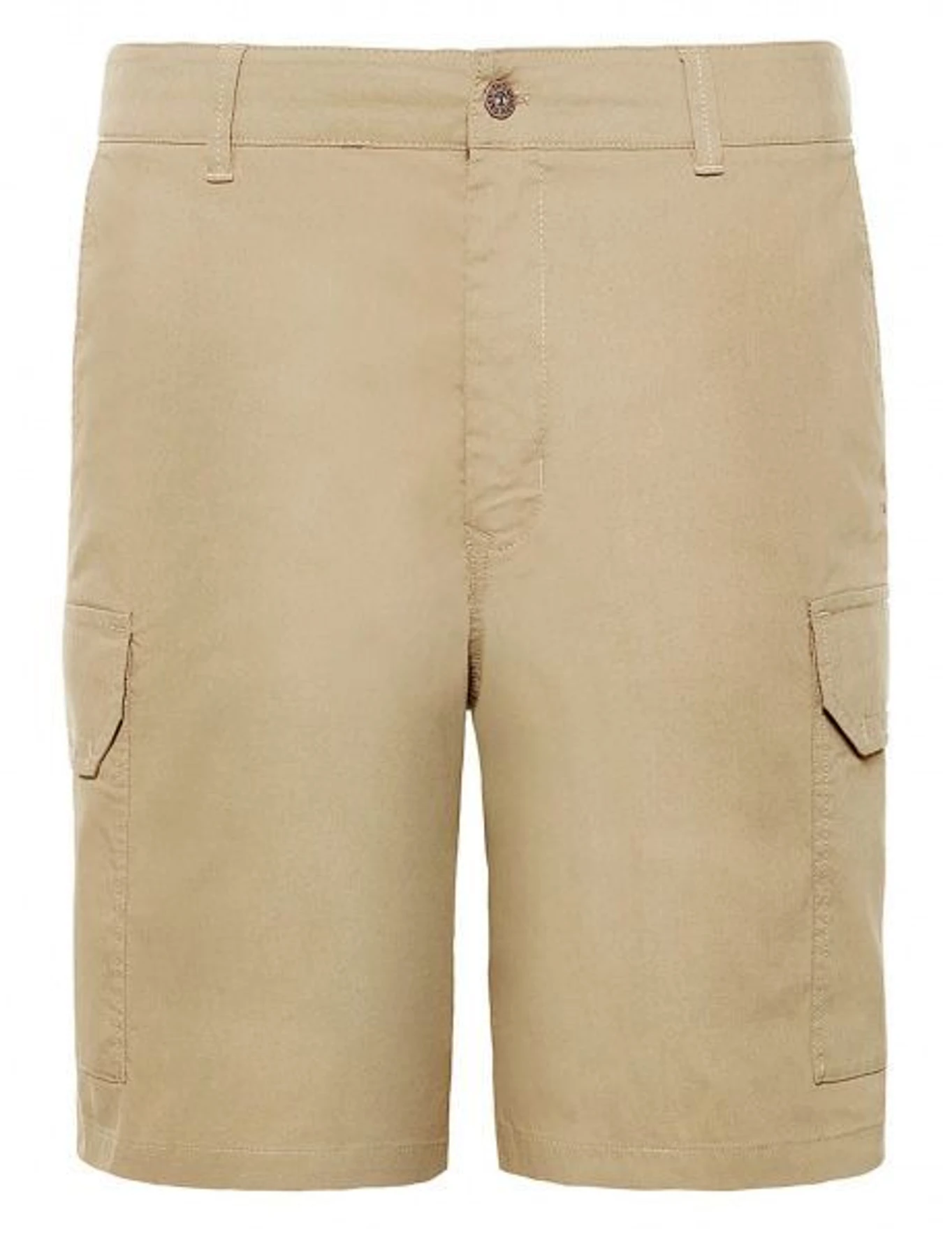 Шорти The North Face модель T93T1XPLX Фото
