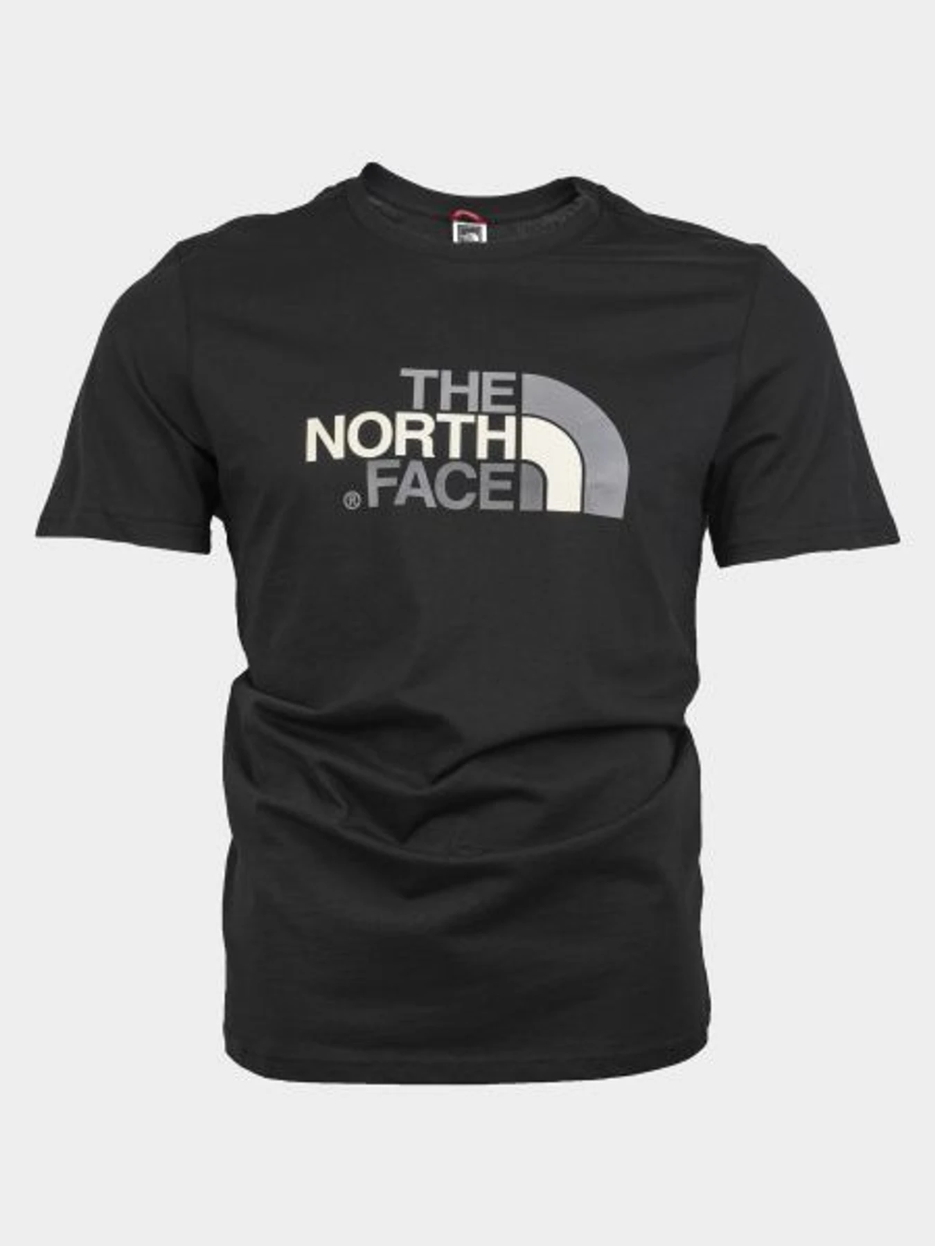 Футболки и поло The North Face Easy модель T92TX3JK3 Футболки и поло The North Face Easy модель T92TX3JK3 Фото