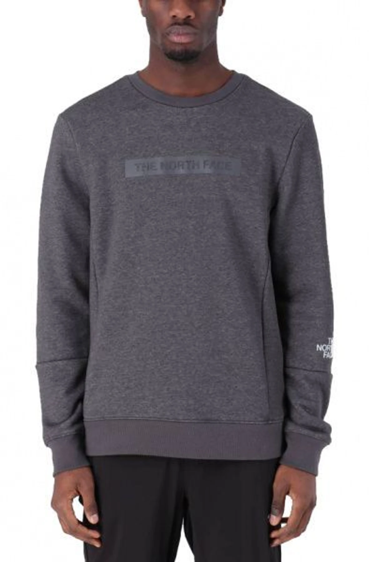 Худи и свитшоты The North Face Light Crew модель T93RYDDYY Фото
