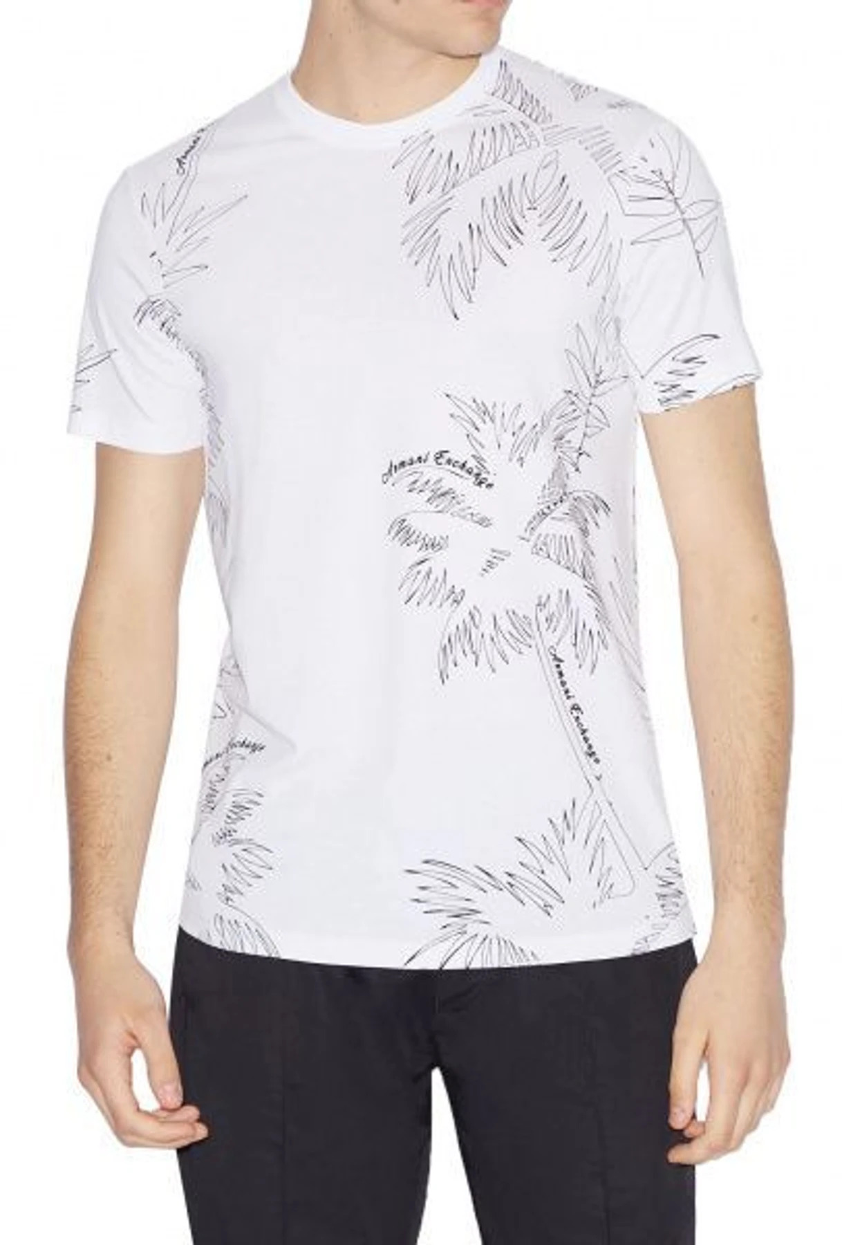 Футболки и поло Armani Exchange модель 3GZTWB-ZJ1XZ-6177 Фото