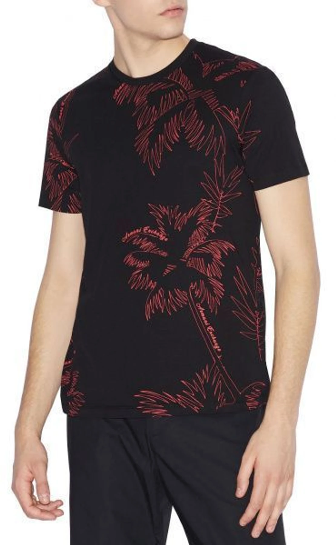 Футболки и поло Armani Exchange модель 3GZTWB-ZJ1XZ-6232 Фото