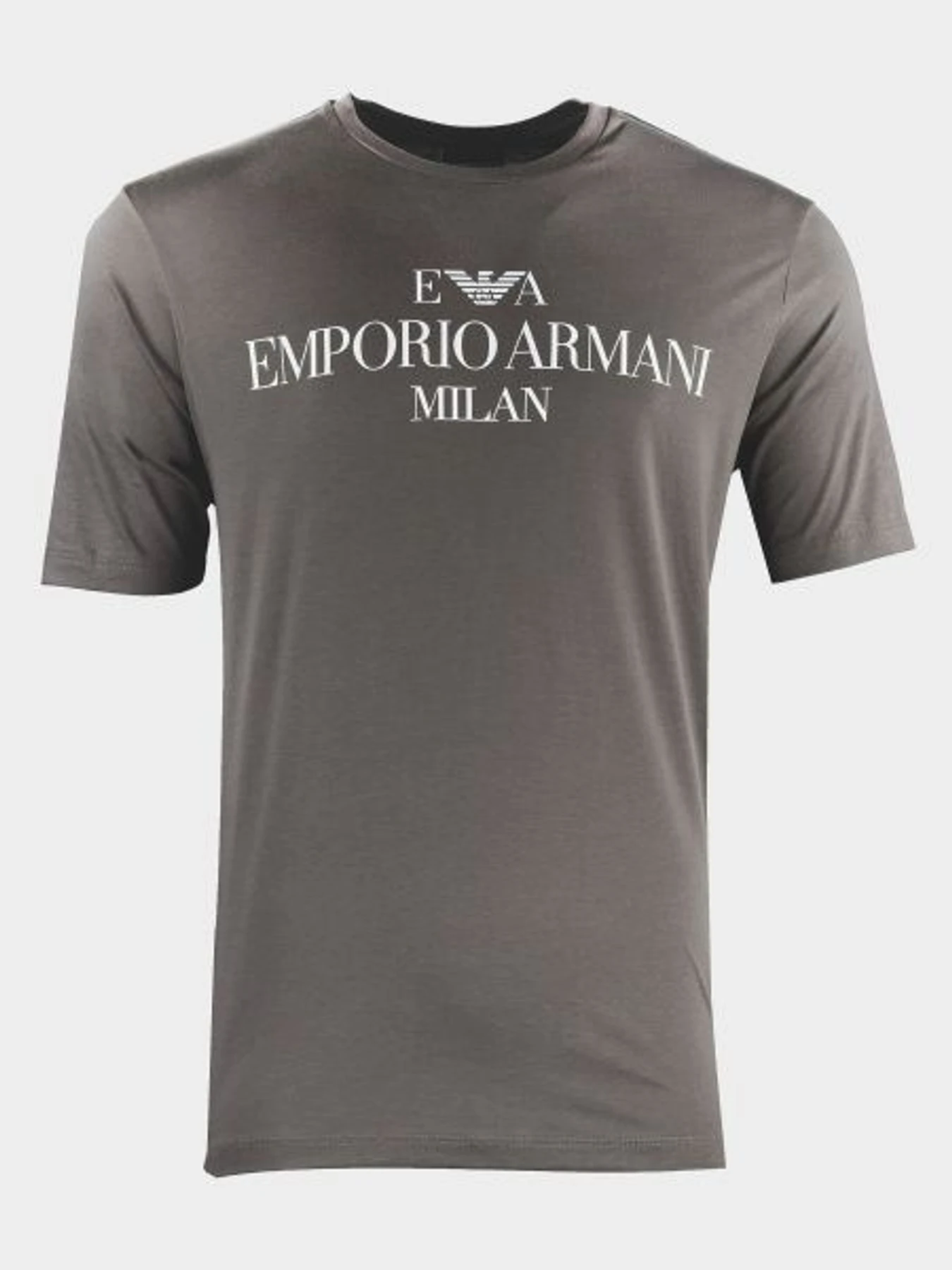 Футболки и поло Emporio Armani модель 3G1TM4-1JHRZ-0646 Фото