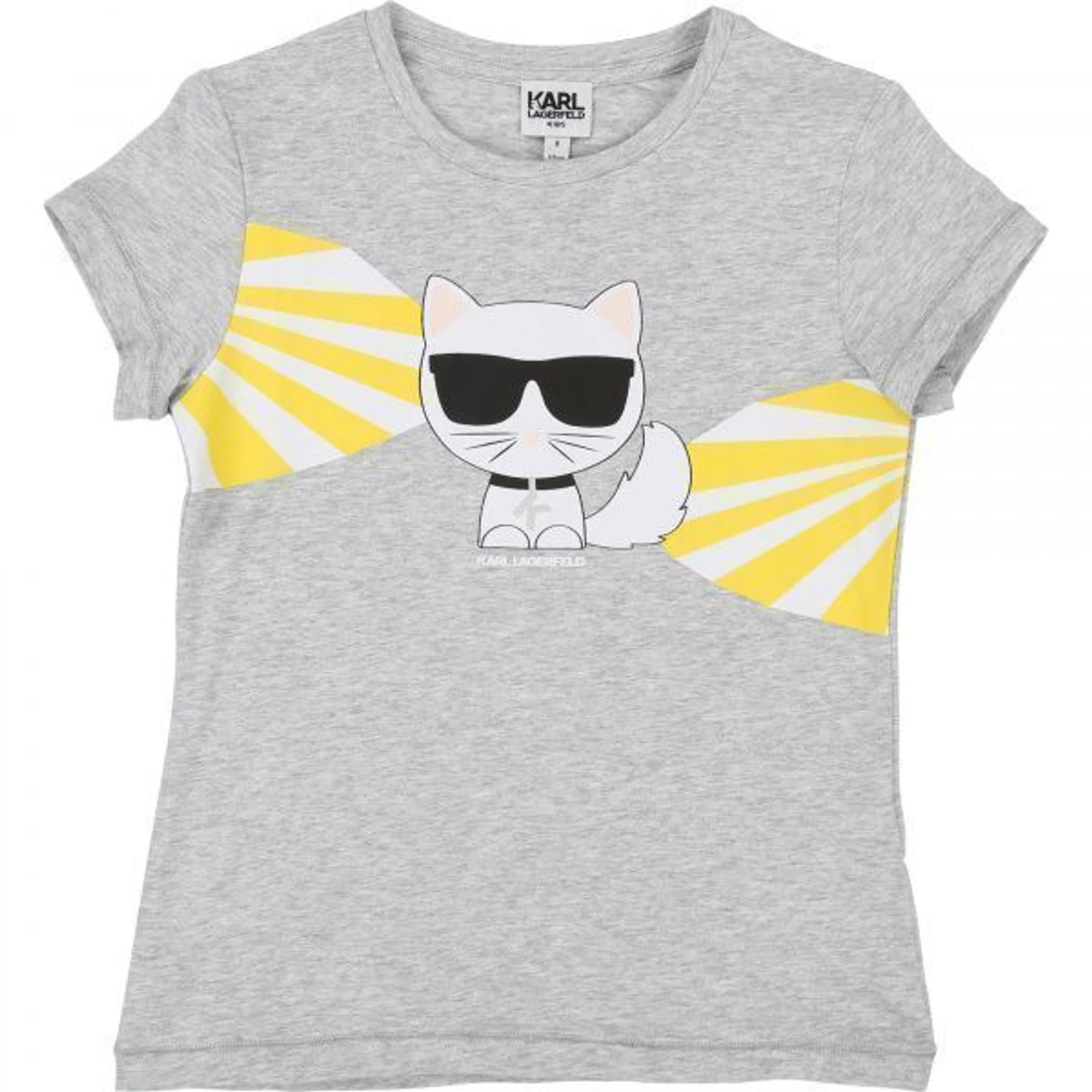 Футболки і поло Karl Lagerfeld Kids модель Z15178/A32 Фото