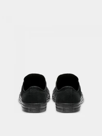 Кеды CONVERSE CHUCK TAYLOR ALL STAR модель M5039C Фото